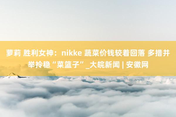 萝莉 胜利女神：nikke 蔬菜价钱较着回落 多措并举拎稳“菜篮子”_大皖新闻 | 安徽网