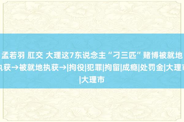 孟若羽 肛交 大理这7东说念主“刁三匹”赌博被就地执获→被就地执获→|拘役|犯罪|拘留|成瘾|处罚金|大理市