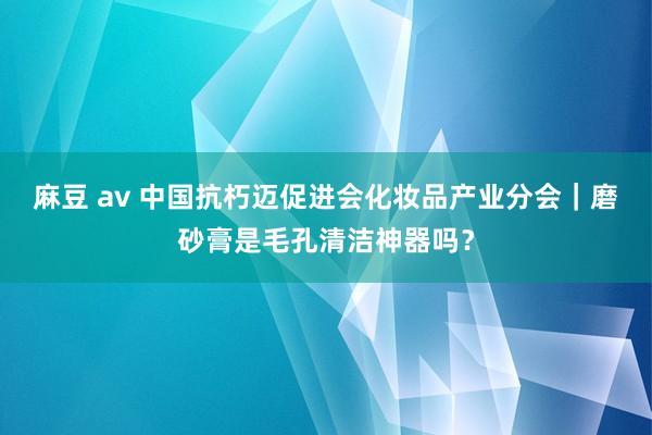 麻豆 av 中国抗朽迈促进会化妆品产业分会｜磨砂膏是毛孔清洁神器吗？
