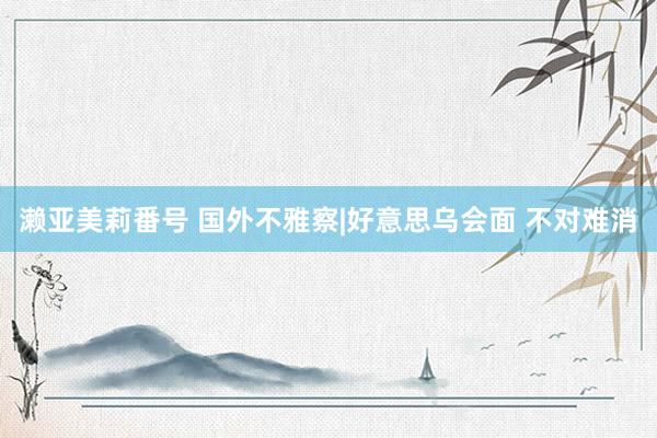 濑亚美莉番号 国外不雅察|好意思乌会面 不对难消