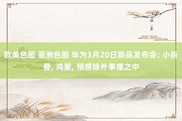 欧美色图 亚洲色图 华为3月20日新品发布会: 小折叠， 鸿蒙， 预感除外事理之中