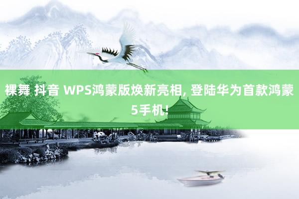 裸舞 抖音 WPS鸿蒙版焕新亮相， 登陆华为首款鸿蒙5手机!
