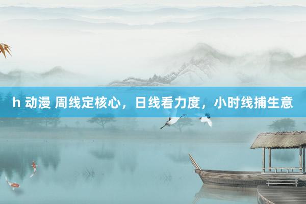 h 动漫 周线定核心，日线看力度，小时线捕生意