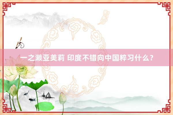 一之濑亚美莉 印度不错向中国粹习什么？
