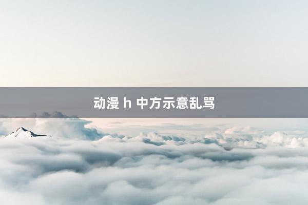 动漫 h 中方示意乱骂